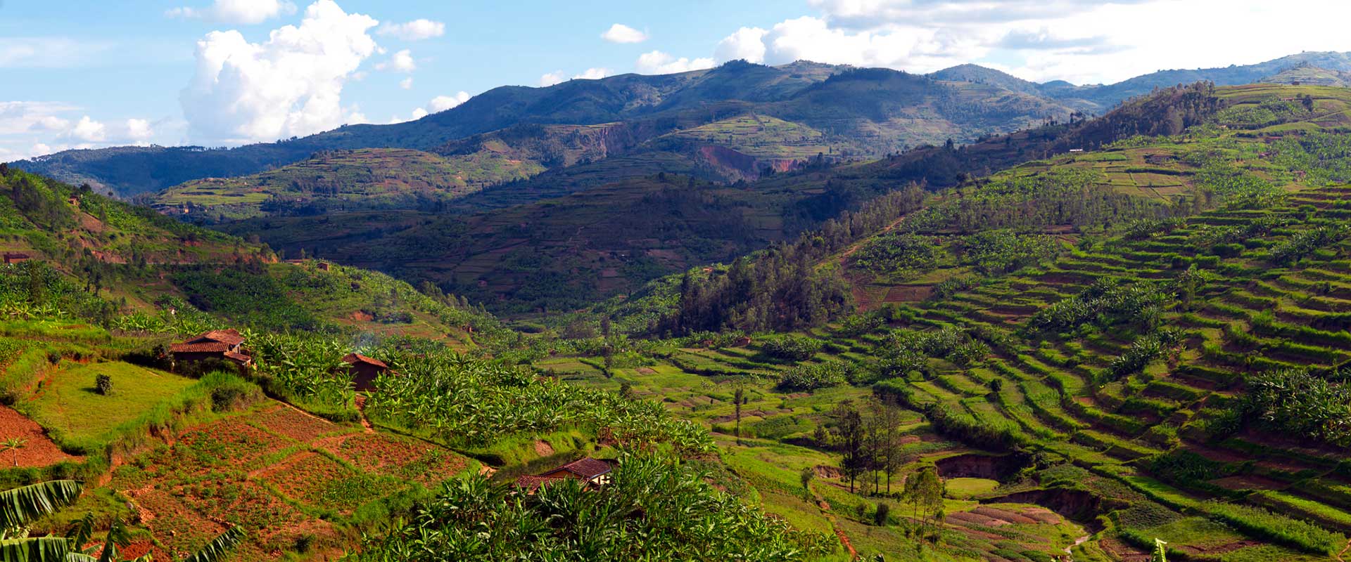 The green hills of Rwanda around Kigali