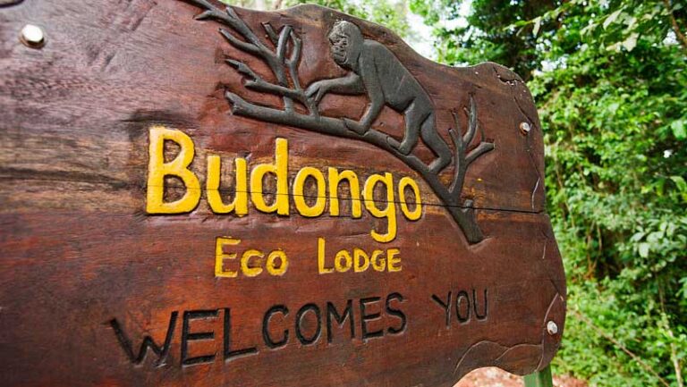 Budongo Eco Lodge Upgrade